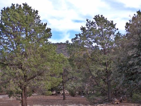 7417 N Apache Ave, Williams, AZ 86046 photo 1