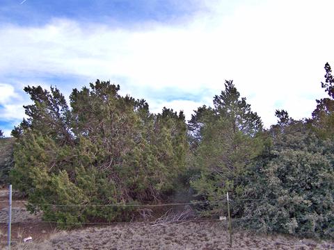 7417 N Apache Ave, Williams, AZ 86046 photo 9