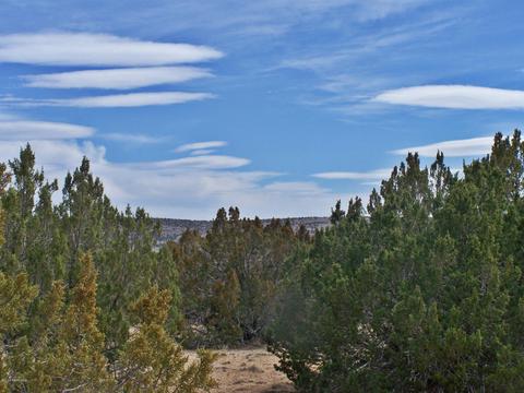 7417 N Apache Ave, Williams, AZ 86046 photo 3