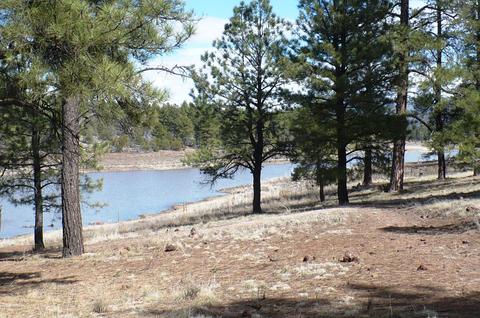 405 S First St, Williams, AZ 86046 photo 53