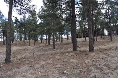 1951 E Bare Oak Loop, Flagstaff, AZ 86005 photo 14