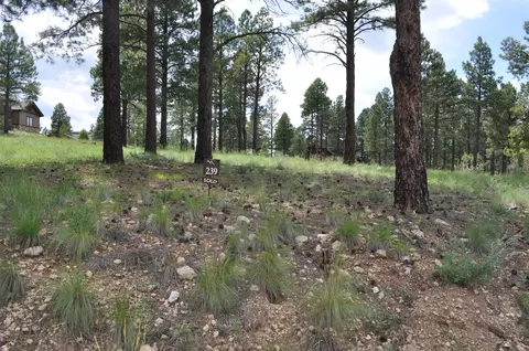 1951 E Bare Oak Loop, Flagstaff, AZ 86005 photo 3