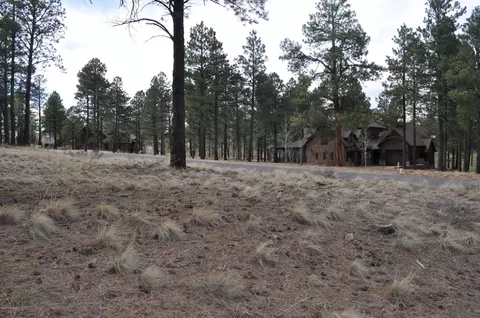 1951 E Bare Oak Loop, Flagstaff, AZ 86005 photo 4