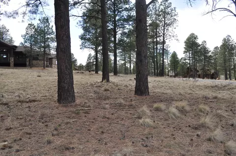 1951 E Bare Oak Loop, Flagstaff, AZ 86005 photo 5