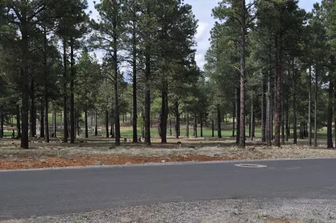 1951 E Bare Oak Loop, Flagstaff, AZ 86005 photo 10