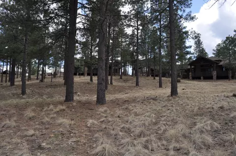 1951 E Bare Oak Loop, Flagstaff, AZ 86005 photo 13