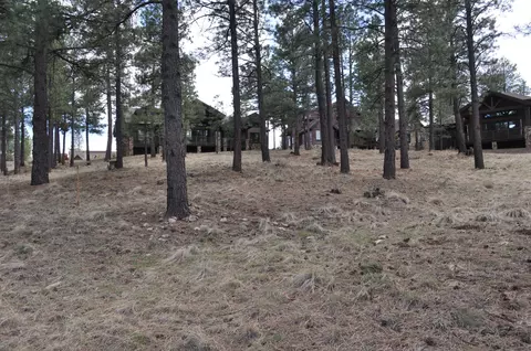1951 E Bare Oak Loop, Flagstaff, AZ 86005 photo 6