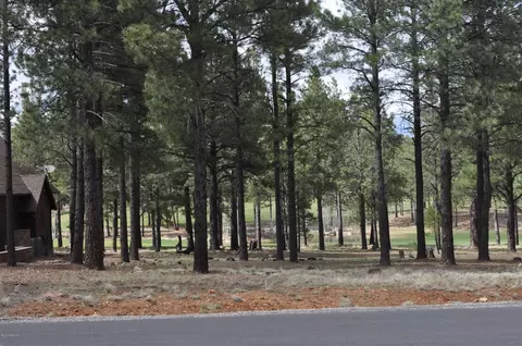 1951 E Bare Oak Loop, Flagstaff, AZ 86005 photo 12