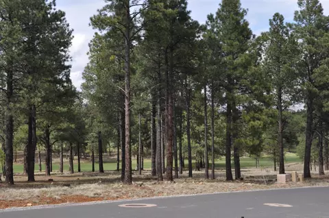 1951 E Bare Oak Loop, Flagstaff, AZ 86005 photo 11