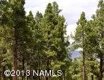 1951 E Bare Oak Loop, Flagstaff, AZ 86005 photo 15