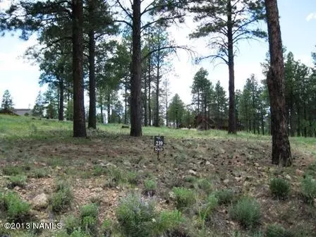 1951 E Bare Oak Loop, Flagstaff, AZ 86005 photo 1