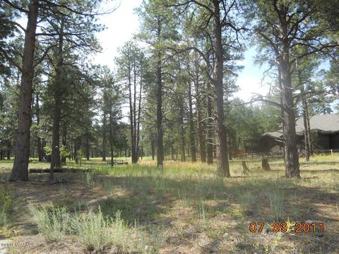 3186 W Grey Hawk, Williams, AZ 86046 photo 3