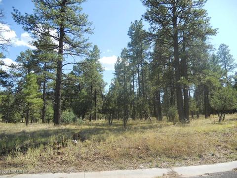 3186 W Grey Hawk, Williams, AZ 86046 photo 2