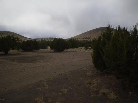 lot7 Sun Leupp Rnch, Flagstaff, AZ 86004 photo 13
