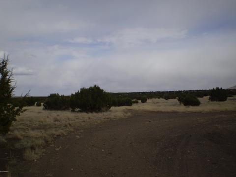 lot7 Sun Leupp Rnch, Flagstaff, AZ 86004 photo 11