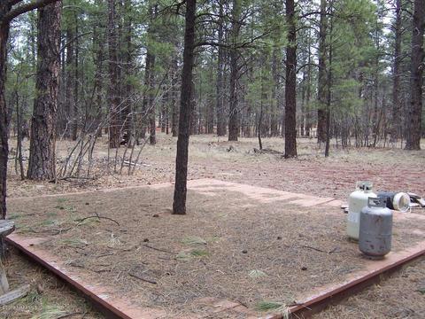 3600 E Pine Top Dr, Williams, AZ 86046 photo 5