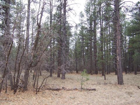 3600 E Pine Top Dr, Williams, AZ 86046 photo 4