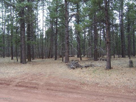3600 E Pine Top Dr, Williams, AZ 86046 photo 3