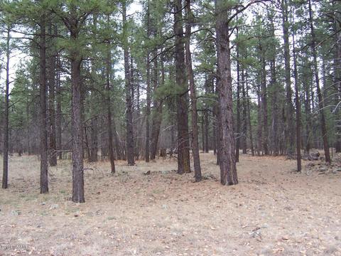 3600 E Pine Top Dr, Williams, AZ 86046 photo 1