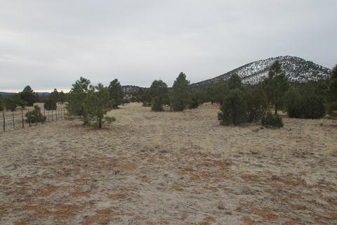 2538 E Spring Valley Rd, Williams, AZ 86046 photo 4