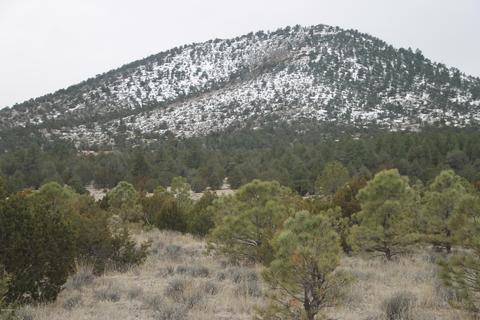 2538 E Spring Valley Rd, Williams, AZ 86046 photo 5