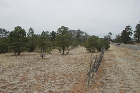 2538 E Spring Valley Rd, Williams, AZ 86046 photo 3