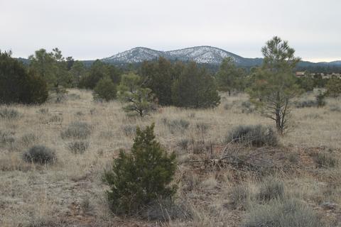2538 E Spring Valley Rd, Williams, AZ 86046 photo 6