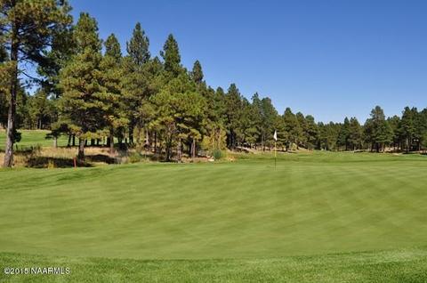 1936 E Bare Oak Loop, Flagstaff, AZ 86005 photo 10