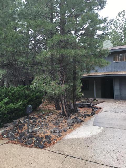314 E David Dr, Flagstaff, AZ 86001 photo 3