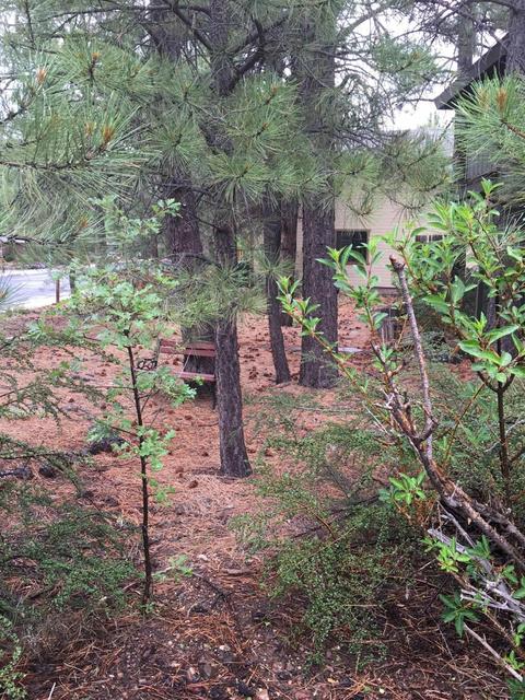 314 E David Dr, Flagstaff, AZ 86001 photo 34