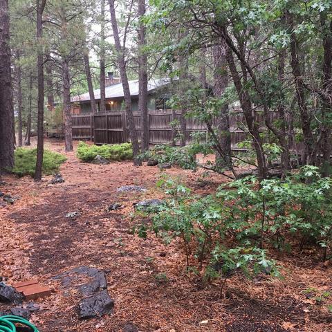 314 E David Dr, Flagstaff, AZ 86001 photo 5