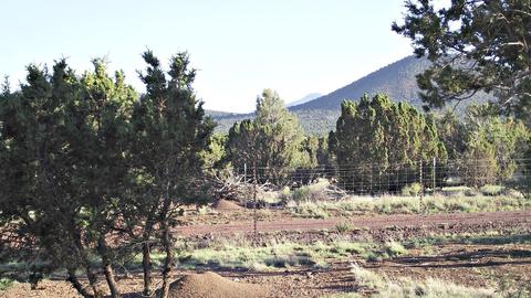 2041 E Utopia Trl, Williams, AZ 86046 photo 11