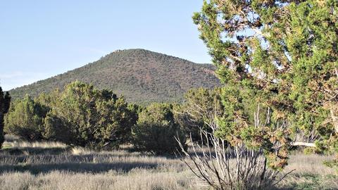 2041 E Utopia Trl, Williams, AZ 86046 photo 12