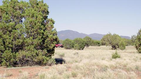 1695 E Prospect Ln, Williams, AZ 86046 photo 1