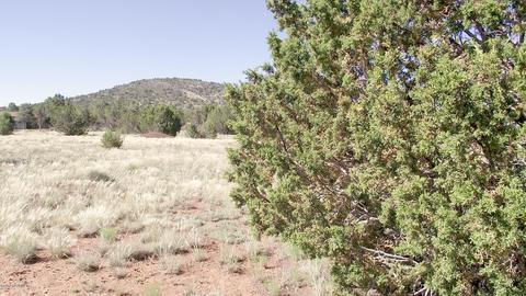 1695 E Prospect Ln, Williams, AZ 86046 photo 3