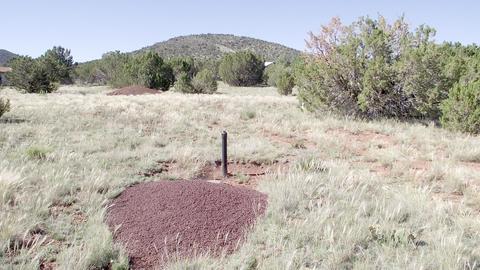 1695 E Prospect Ln, Williams, AZ 86046 photo 4