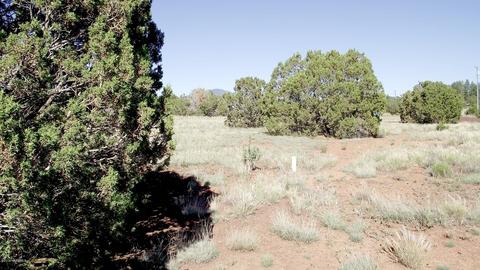 1695 E Prospect Ln, Williams, AZ 86046 photo 8
