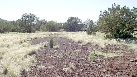 1695 E Prospect Ln, Williams, AZ 86046 photo 6