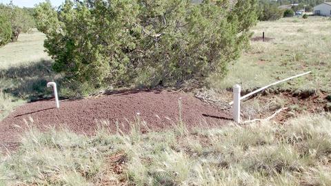 1695 E Prospect Ln, Williams, AZ 86046 photo 5