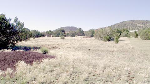 1695 E Prospect Ln, Williams, AZ 86046 photo 2