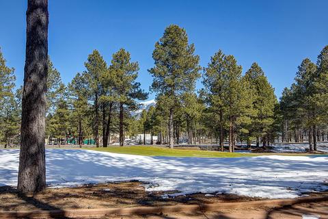 3530 S Lariat Loop Loop, Flagstaff, AZ 86005 photo 10