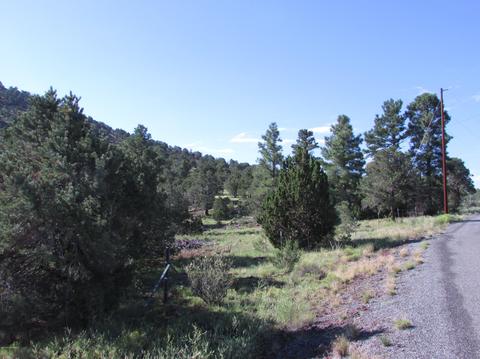 1598 E Spring Valley Rd, Williams, AZ 86046 photo 20
