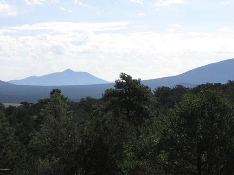 1598 E Spring Valley Rd, Williams, AZ 86046 photo 17