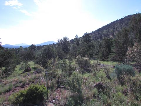 1598 E Spring Valley Rd, Williams, AZ 86046 photo 12
