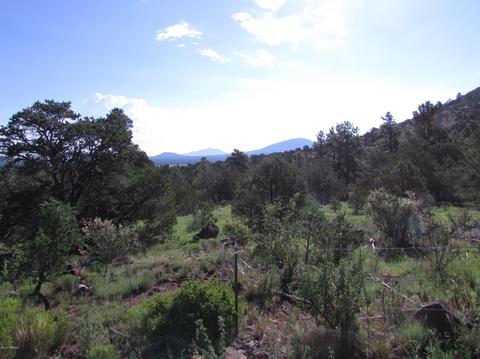 1620 E Spring Valley Rd, Williams, AZ 86046 photo 6