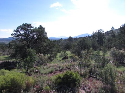 1620 E Spring Valley Rd, Williams, AZ 86046 photo 4