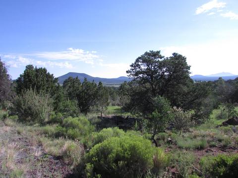 1620 E Spring Valley Rd, Williams, AZ 86046 photo 3