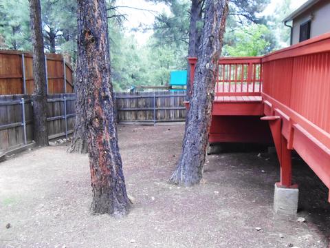50 E Mohawk Dr, Flagstaff, AZ 86005 photo 17