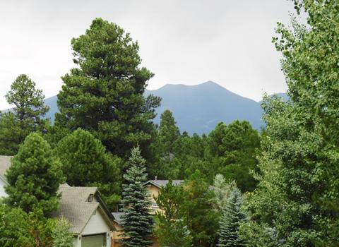 50 E Mohawk Dr, Flagstaff, AZ 86005 photo 21