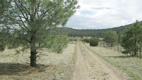 2582 E Spring Valley Rd, Williams, AZ 86046 photo 16